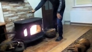 Тепло камина. Печь - камин Kratki koza K9