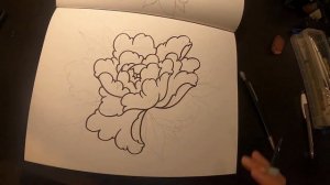 Peony flower tattoo sketch timelapse