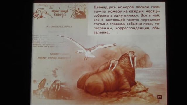 ЛЕСНАЯ ГАЗЕТА по рассказам В Бианки смотреть онлайн