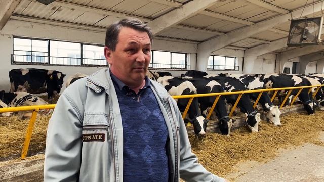 Животноводство в СХПК «Россия» какое оно есть. До чего довели. Только факты. смотреть онлайн