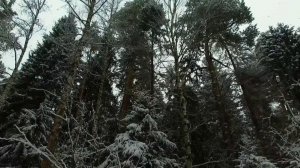 Раифа. Путь к монастырю