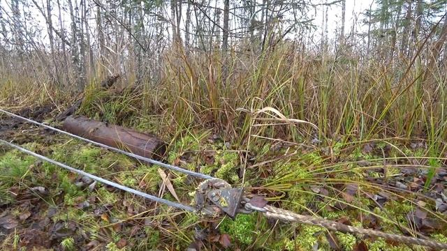 МЕХАНИЗИРОВАЛИ ДОБЫЧУ РЕЛЬС ИЗ БОЛОТА! КОП МЕТАЛЛА В ЛЕСНОЙ ГЛУШИ!!! смотреть онлайн