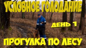 Прогулка по лесу. Первый день условного голодани.[Жизнь в деревне]