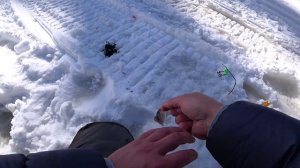 Рыбалка на хариуса. Весенняя рыбалка на таёжной реке. Часть первая.