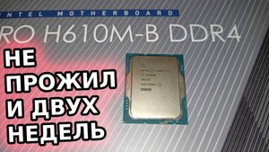 Перестал работать новый процессор i3 12100F Думал на мтеринскую плату Кто всему виной?