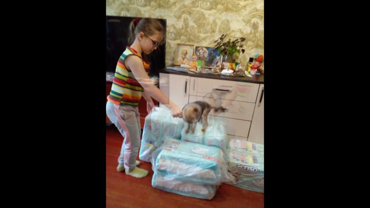 Дрессировщица смотреть онлайн