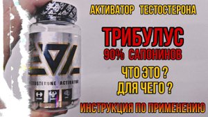 Крутой недорогой Трибулус 90% сапонинов. Купить Epic Labs активатор тестостерона у мужчин Цена Отзыв