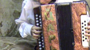 ИГРАЙ ГАРМОНЬ - Ой хотела меня мать. Царь. АЛЕКСЕЕВЫ.MPG_480p