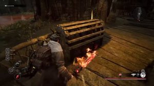 Remnant from the ashes (7)