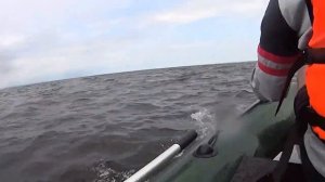 Лодка ПВХ на волне | Фрагмент похода в Усинский залив