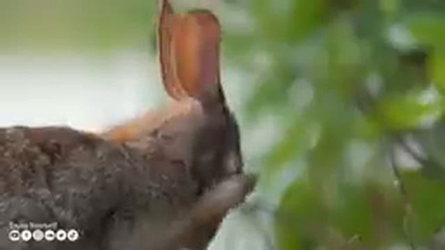 Расслабляющая музыка успокаивает нервы 🌿 Музыка лечит болезни сердца и восстанавливает здоровье #12 смотреть онлайн