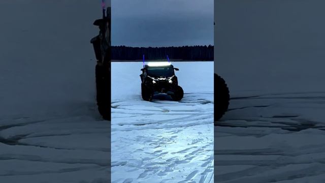 Maverick