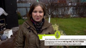 ДВА БЫСТРЫХ СПОСОБА УКРЫТИЯ РОЗ НА ЗИМУ. Советы профессионала