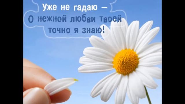 ромашки символ семьи смотреть онлайн