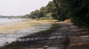 Днепряны, Новая Каховка, на берегу Днепра, Хитрый, Гапона