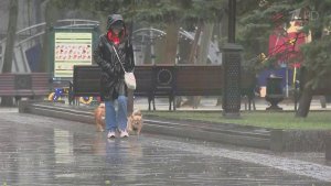 В столичном регионе объявлен желтый уровень опасно...за сильного ветра, дождей и резкого похолодания