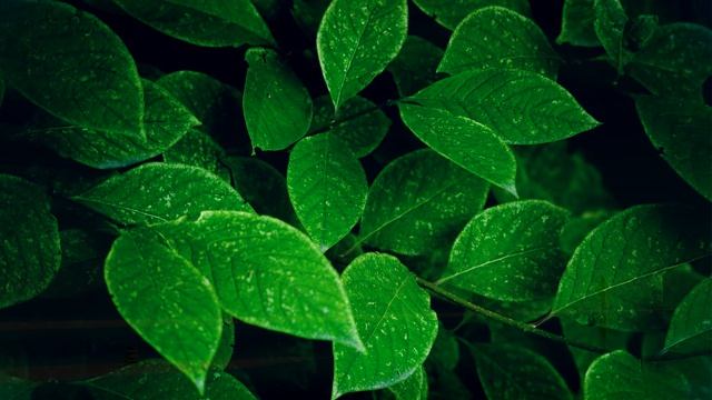 Как ЦВЕТ влияет на человека? смотреть онлайн