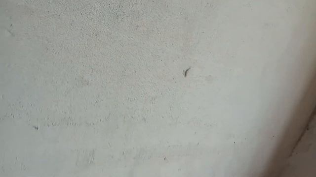 Качество штукатурных работ штукатуркой из Леруа мерлен