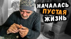 ДЕГУСТАЦИЯ МЁДА  // У МЕНЯ НАЧАЛАСЬ ПУСТАЯ ЖИЗНЬ