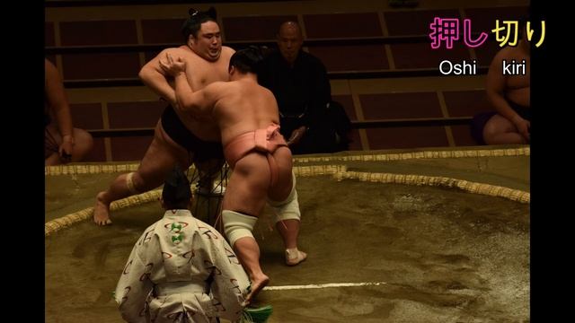 Sumo's basic moves properly explained!