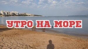 Спокойное утро на море в Геленджике. Собачьи бои на пустом Центральном пляже июнь 2021