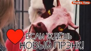 ДАЛА ПОЛАПАТЬ 🤩😂   ПРАНКИ НАД ЛЮДЬМИ   ЖЕСТКИЕ ПРАНКИ НА УЛИЦЕ   Лучшие Пранки