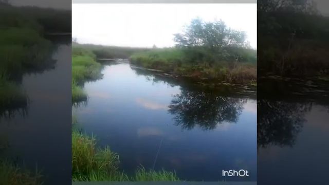 Ловля окуня и ерша.. смотреть онлайн