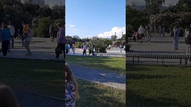 ещё немного красоты💐 #сиреневыйсад #цветы #сирень #красота смотреть онлайн