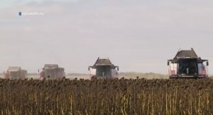 Сложная уборка и хождение по маслу. Агрокурьер