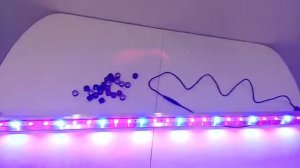 Обзор фитолампы лампа для рассады биколор 1 метр