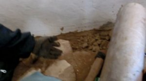 Мыши в самане и глине - что легче для грызунов?