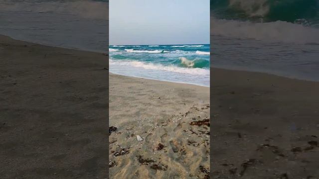 Беляус 26.07.23.