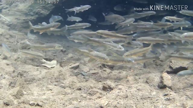 Котыр Булак Аулие бастау смотреть онлайн