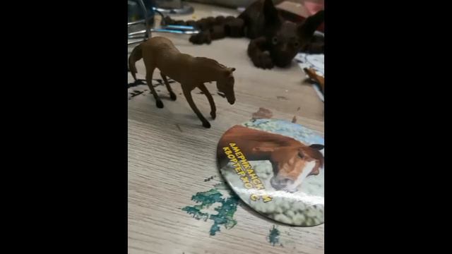 Моя коллекция животных.Читать описание!! #лошади #кошки #собаки #животные #врекомендации . смотреть онлайн