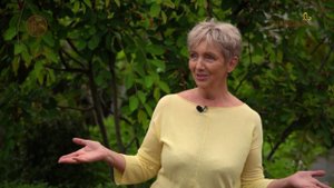 Анонс. Сад как искусство. Сезон 2. Канал Загородный