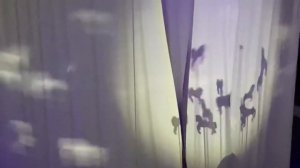 Цирк! Цирк! Цирк! Спектакль «Девочка и слон» в Ростовском цирке! Часть 1