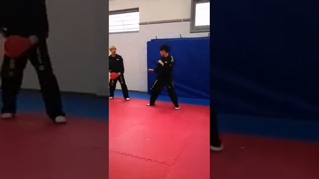 Mitt Drill Combo - Black Belt Syllabus