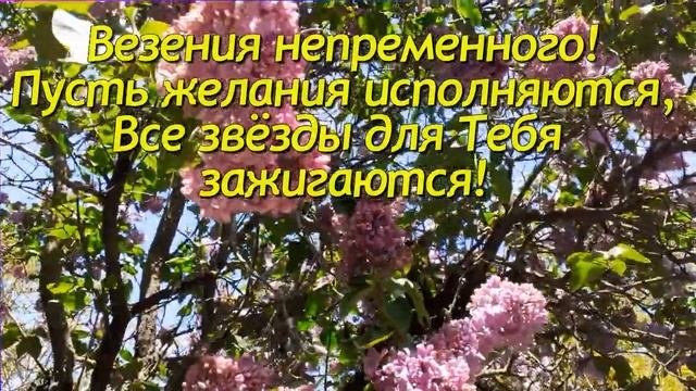 "Сладкой ночи , ярких снов, добрых и приятных слов..." Красивое пожелание спокойной ночи. смотреть онлайн