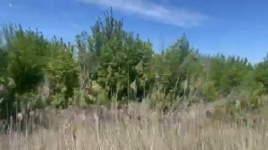 Красивый пейзаж.