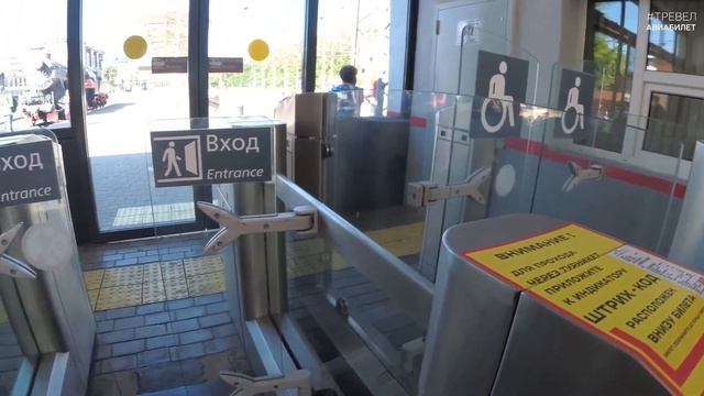 Как добраться из Калининграда в Светлогорск быстро и дешево смотреть онлайн