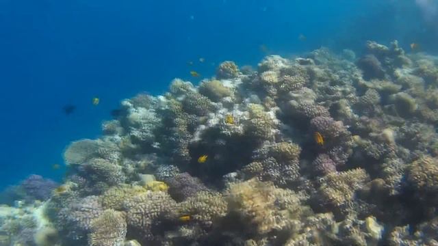 Египет(water) смотреть онлайн