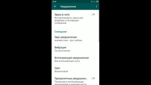 Все настройки WhatsApp (Ватсап) в телефоне