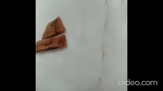 Пробуем вяленый залом. Обалденно вкусно???
