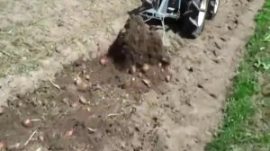 Картофелекопалка для минитрактора