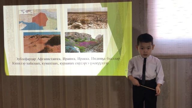 НПК «Первые шаги» Егоров Максим. смотреть онлайн