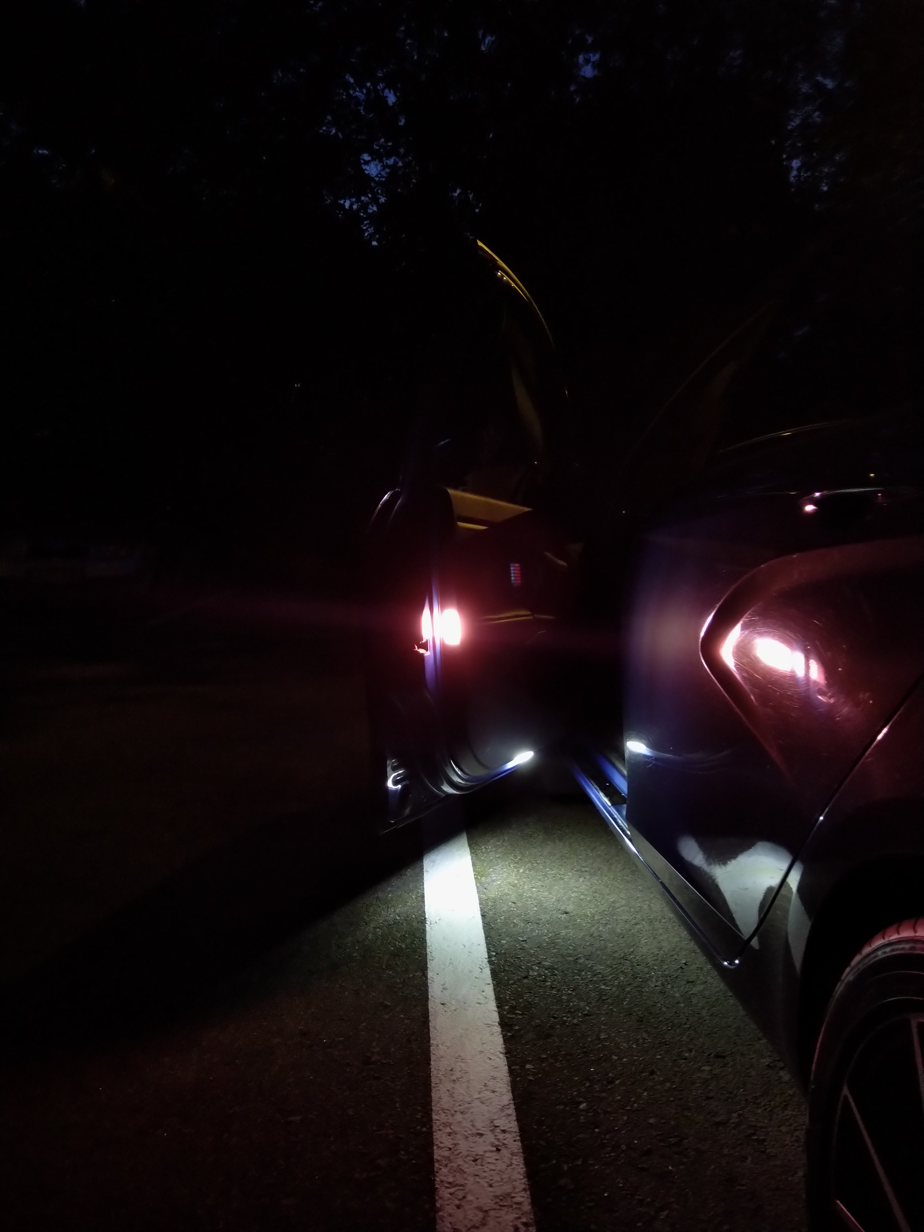 Lada Vesta: Подсветка порогов и габариты дверей водителя.