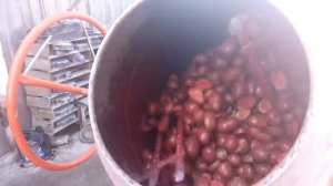 Самый простой способ протравки картофеля перед посадкой протравитель СЕЛЕСТ ТОП.