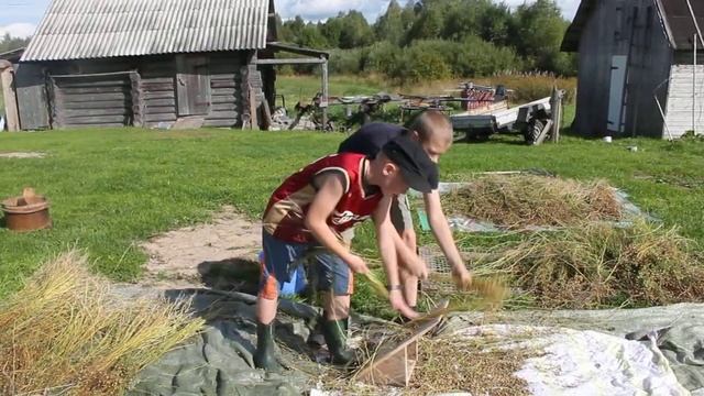 Егор Калмыков о том, как трудно вырастить лен смотреть онлайн
