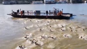 #крещениегосподне #крстовдан #Белград #сербия #srbija