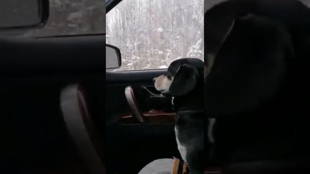 ЕДЕТ ТАКСА СТАВЬТЕ ЛАИК СПАСИБО ❤️❤️❤️ смотреть онлайн